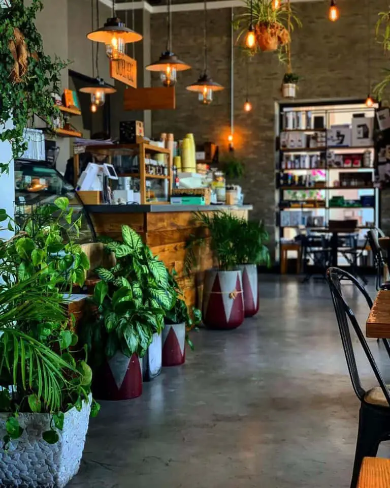 The top 5 best coffee shops in doha