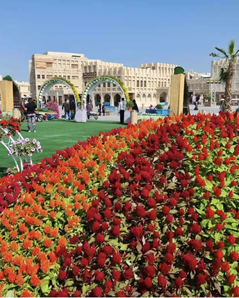 What Is The Souq Waqif Flower Festival?